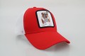 DSC08598.JPG
