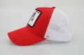 DSC08599.JPG