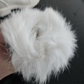 20260218_081721.jpg